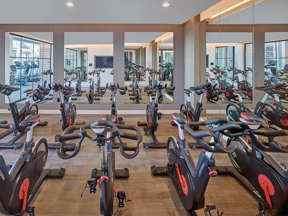 Gym facility with two rows of exercise machines in front of a mirrored wall 